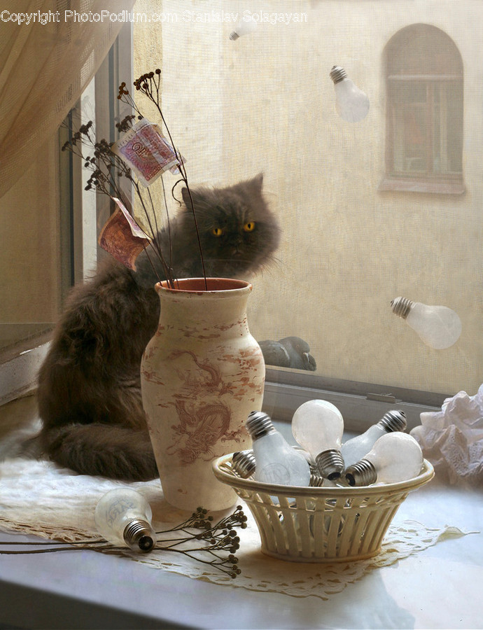 Home Decor, Animal, Mammal, Pet, Cat