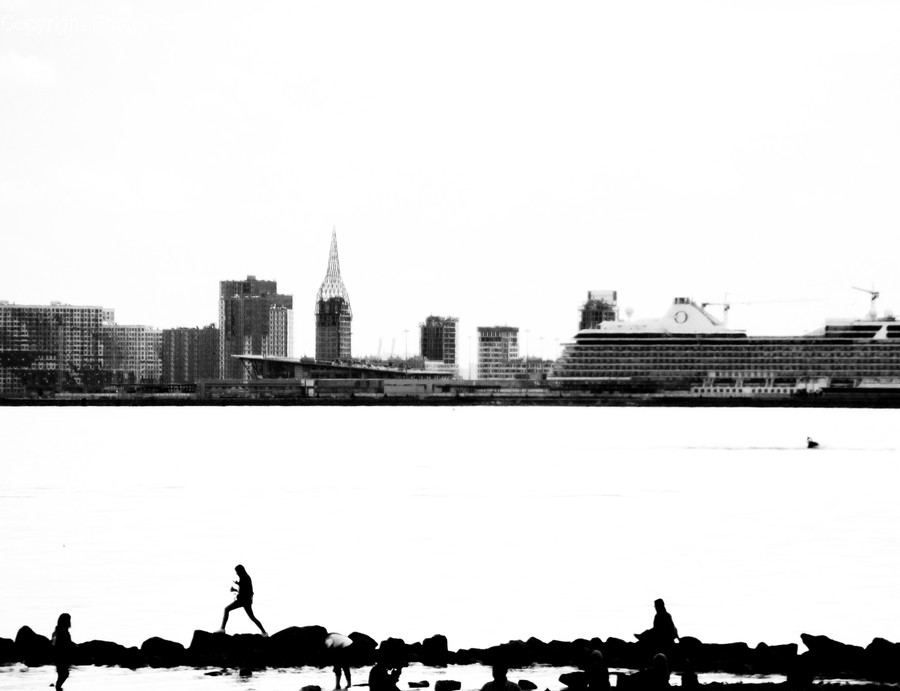Animal, Bird, Building, Town, Urban
