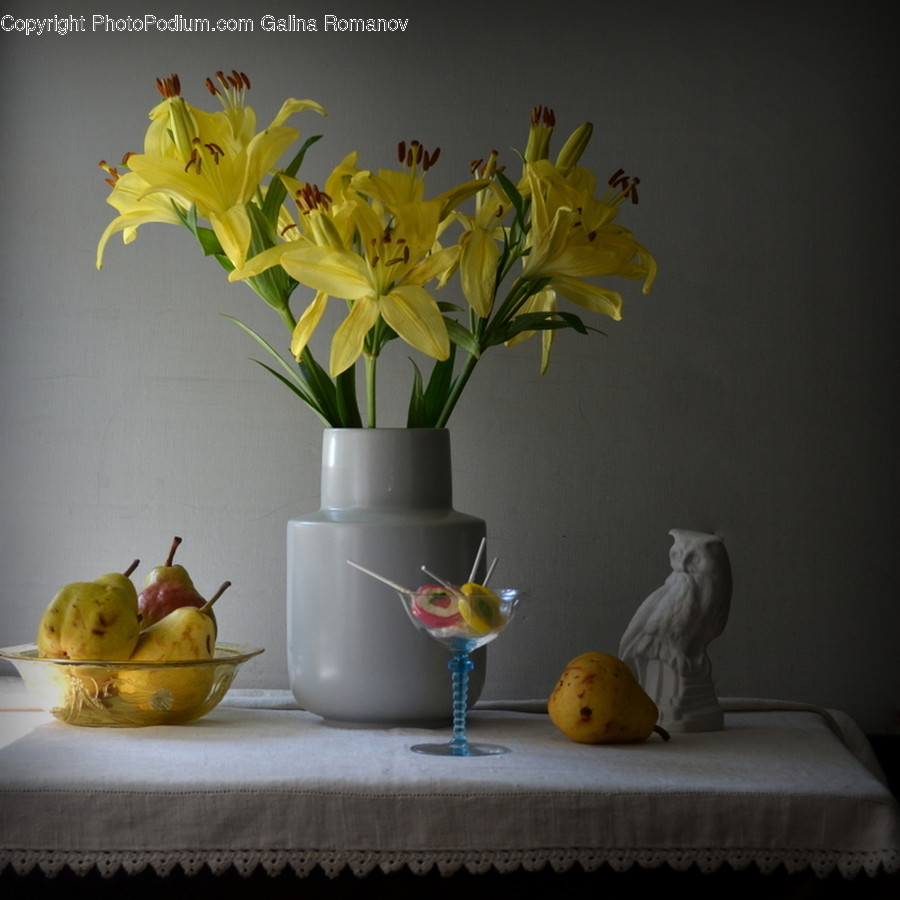 Plant, Fruit, Food, Produce, Bird