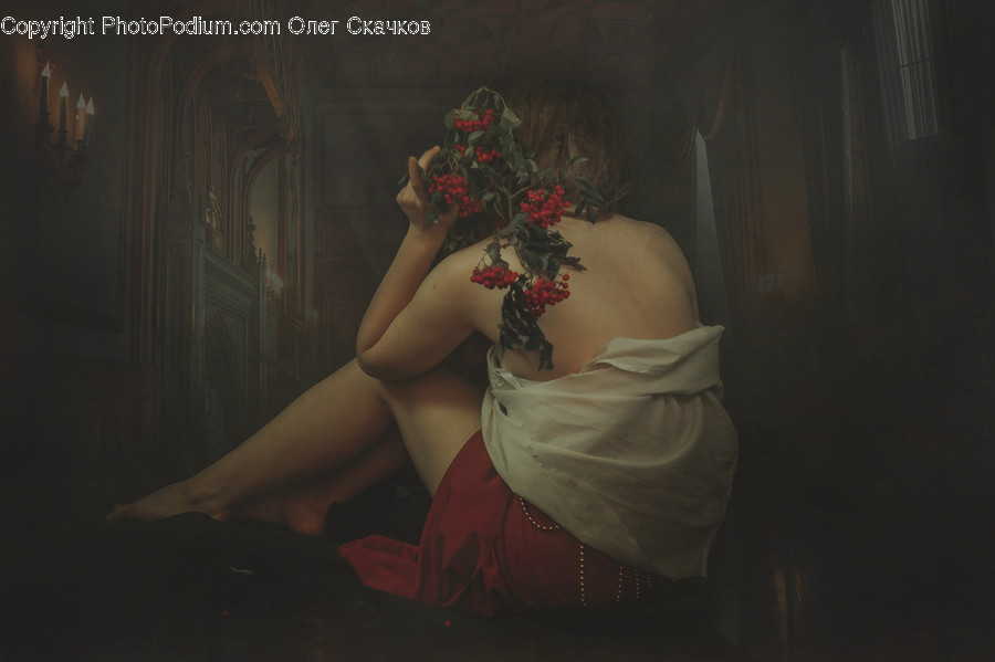 Plant, Blossom, Flower, Person, Human