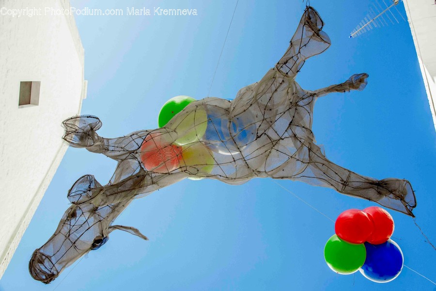 Ball, Animal, Balloon, Dinosaur, Reptile