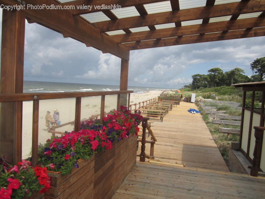 Porch, Patio, Building, Boardwalk, Bridge