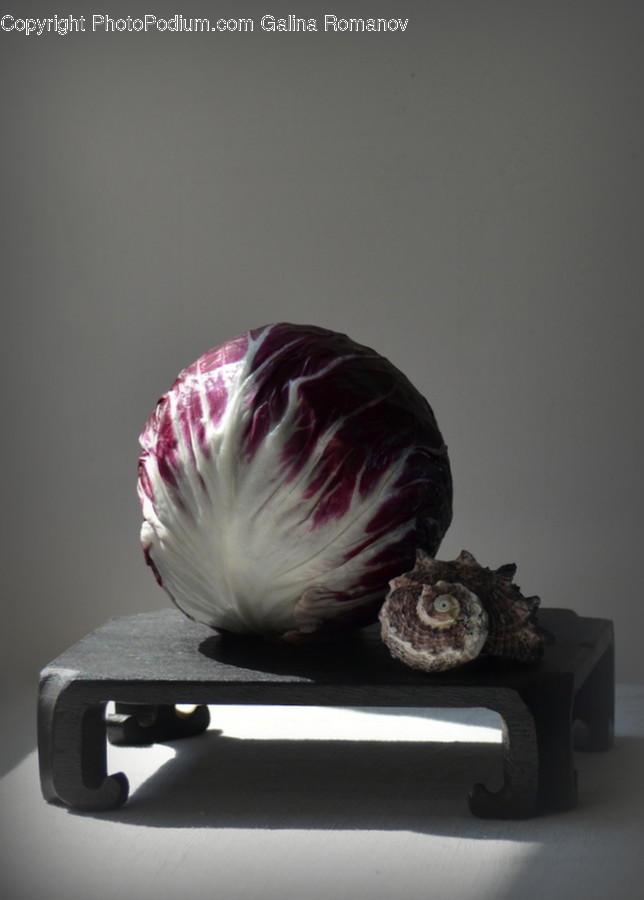 Plant, Vegetable, Food, Cabbage, Produce