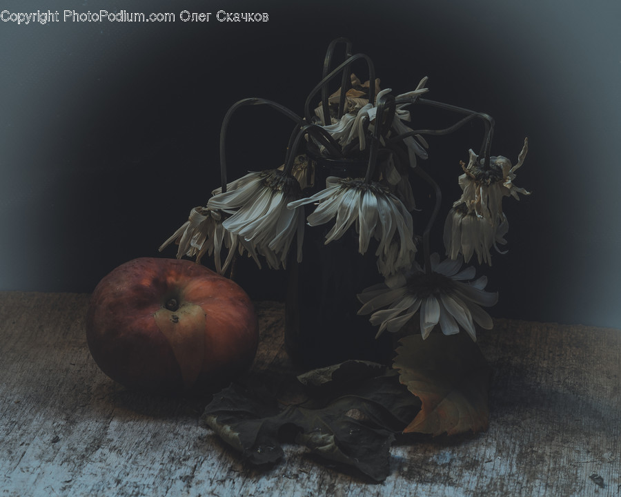 Plant, Fruit, Food, Apple, Painting
