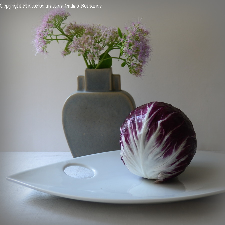 Plant, Pottery, Jar, Vase, Ikebana