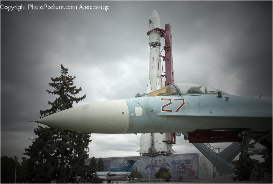 Vehicle, Transportation, Rocket, Plant, Tree