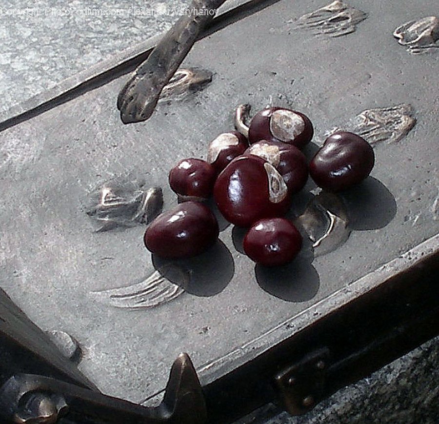 Plant, Food, Fruit, Wood, Cherry
