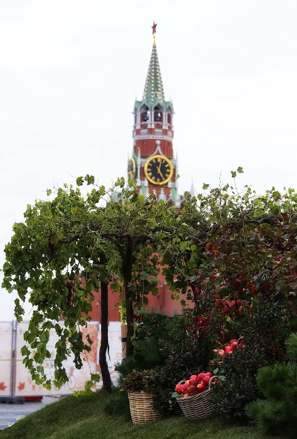 Building, Architecture, Tower, Spire, Steeple
