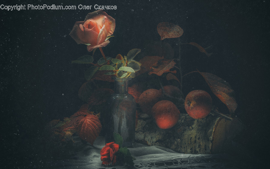 Art, Painting, Invertebrate, Animal, Sea Life