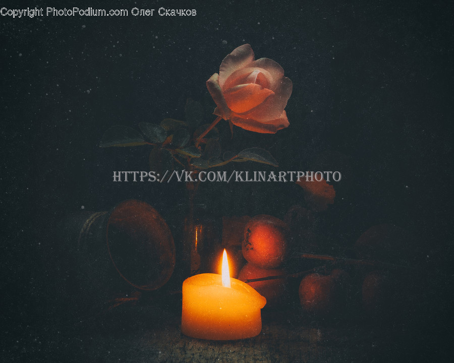 Candle, Fire, Animal, Invertebrate, Flame