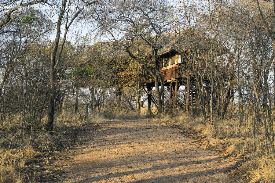 Building, Housing, House, Cabin, Outdoors