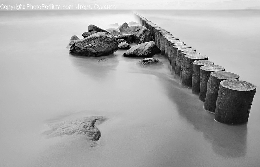 Water, Reptile, Animal, Sea Life, Turtle