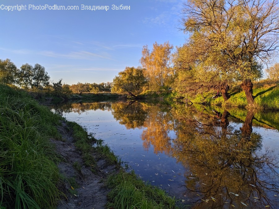 Nature, Outdoors, Land, Water, Plant