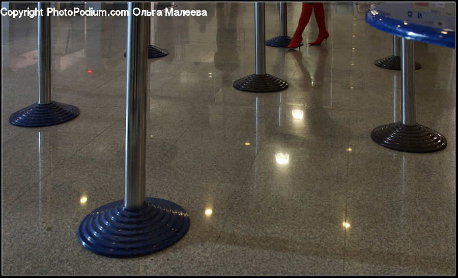 Coil, Spiral, Floor, Flooring, Dish, Food, Plate