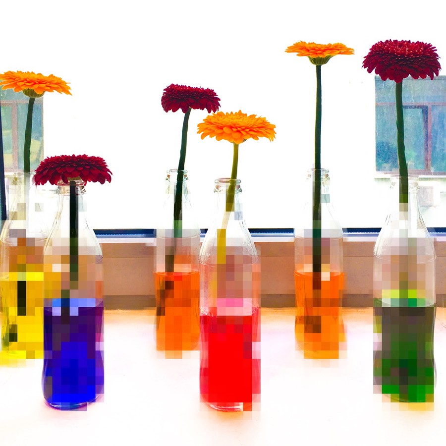 Plant, Flower, Blossom, Flower Arrangement, Vase