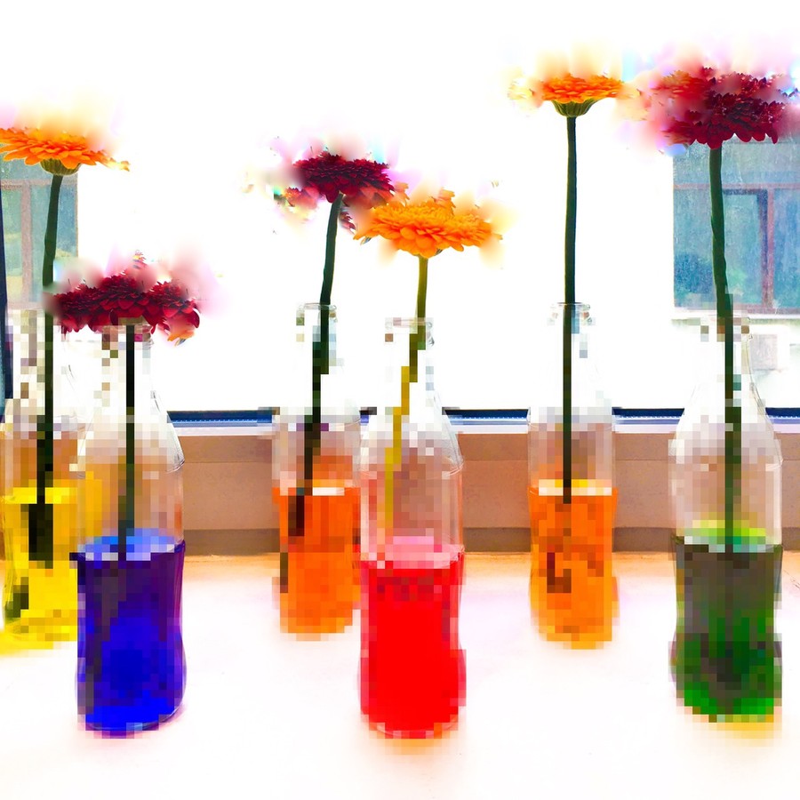 Plant, Flower, Blossom, Flower Arrangement, Vase