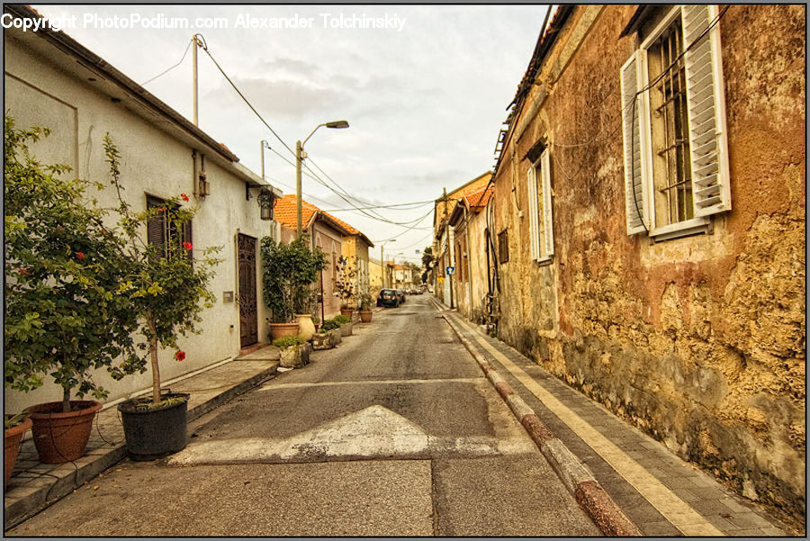 Plant, Potted Plant, Pot, Pottery, Alley, Alleyway, Road