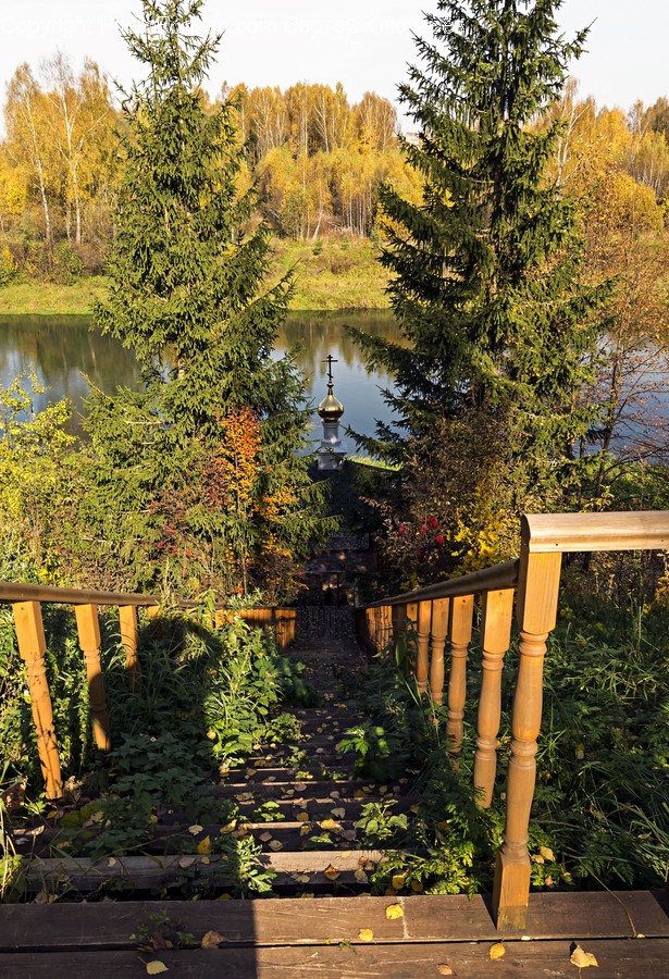 Outdoors, Porch, Water, Plant, Tree