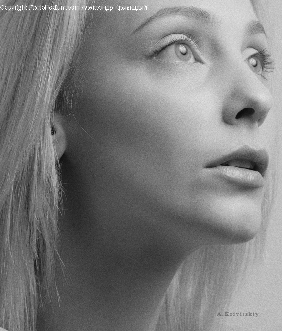 Face, Person, Human, Head, Portrait