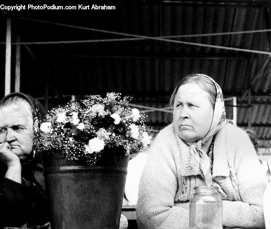 Human, People, Person, Plant, Potted Plant, Portrait