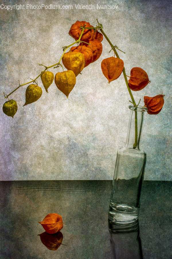 Plant, Leaf, Flower, Blossom, Food