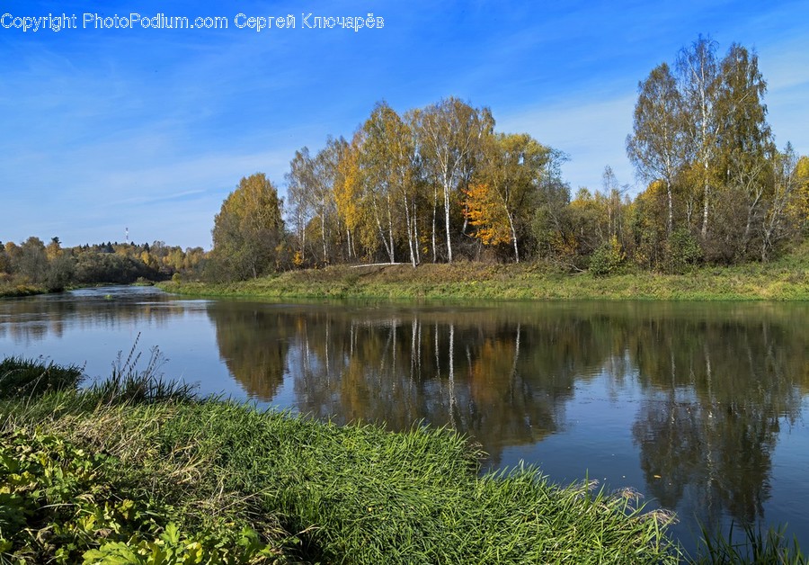 Water, Nature, Outdoors, Land, Tree