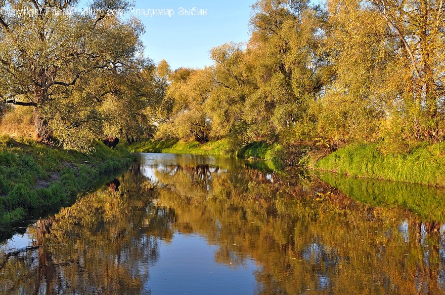 Water, Nature, Outdoors, Land, Pond
