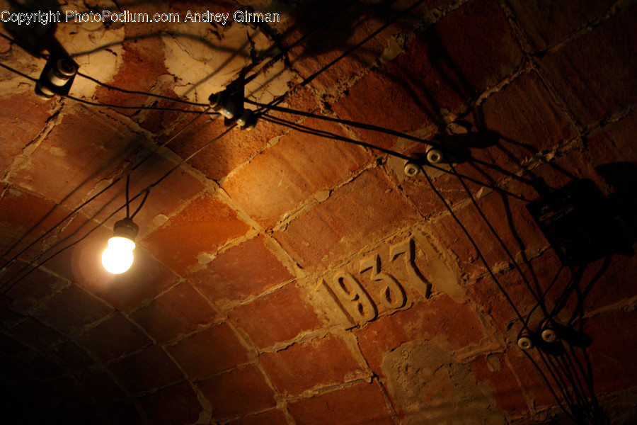 Dungeon, Light Fixture, Person, Human, Bird