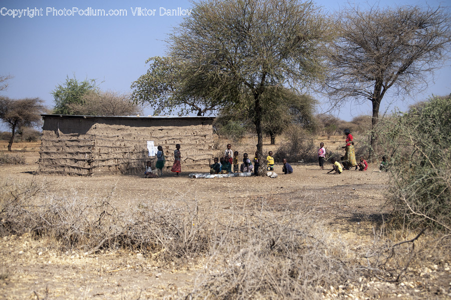 Ground, Nature, Outdoors, Human, Person