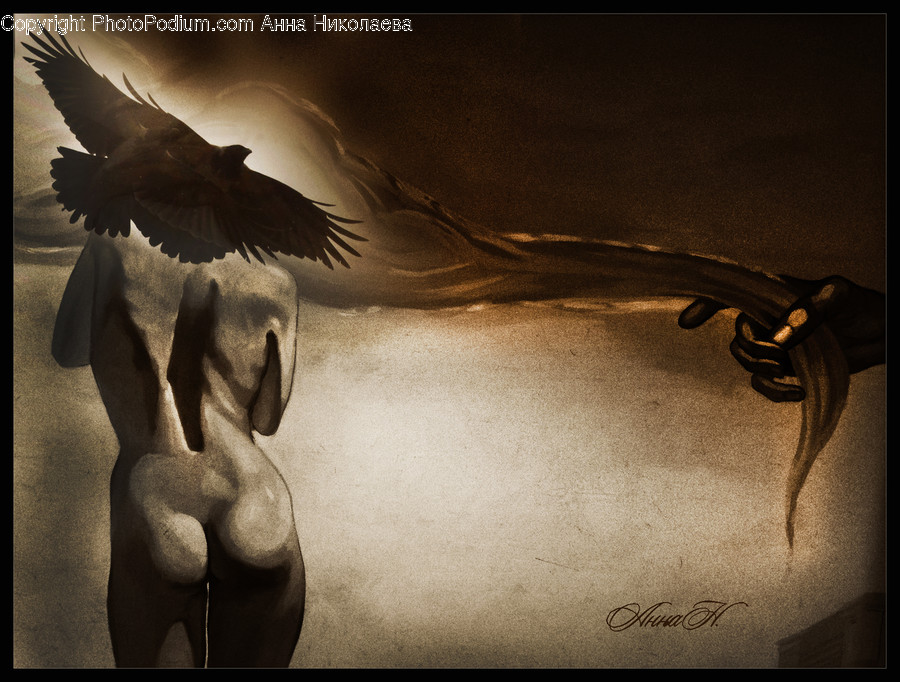 Art, Animal, Bird, Angel, Archangel