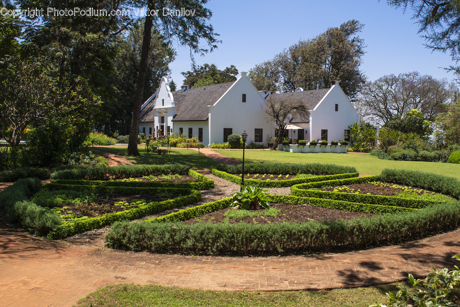 Grass, Plant, Lawn, Outdoors, Housing