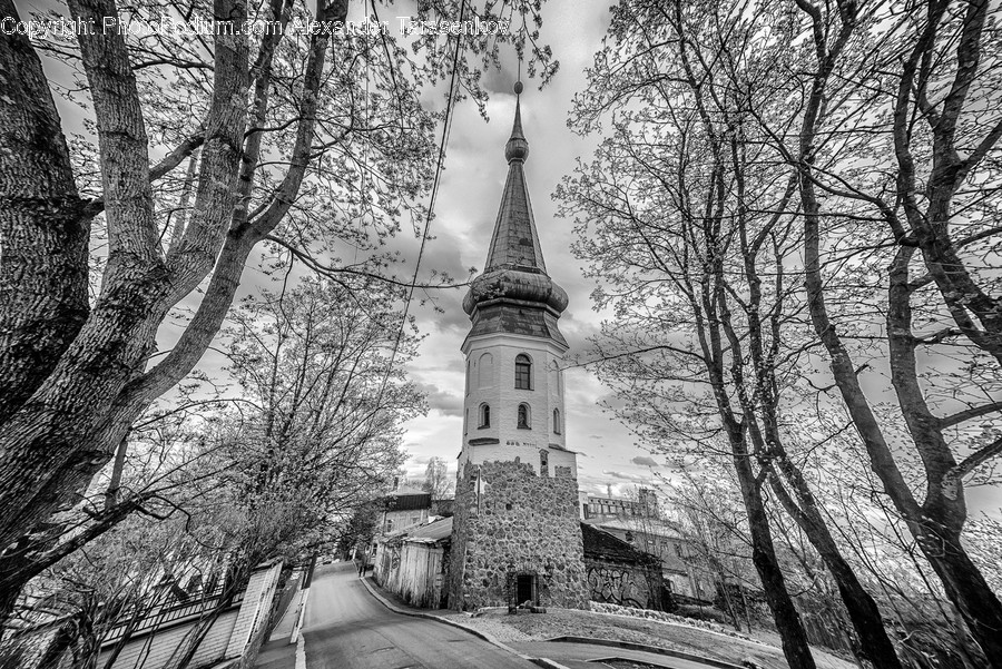Tower, Steeple, Spire, Building, Architecture