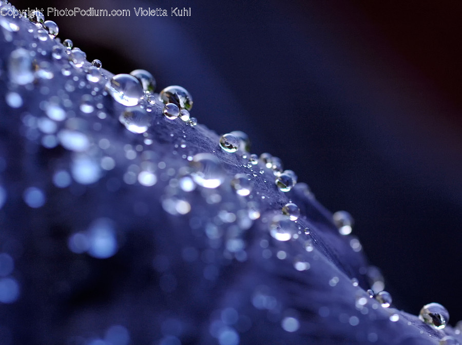 Droplet, Crystal, Plant, Sunlight