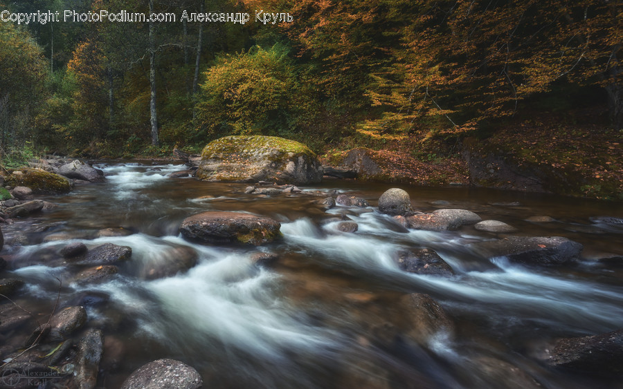Water, Nature, Outdoors, Stream, Creek