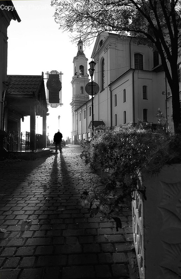 Path, Walkway, Pavement, Sidewalk, Human