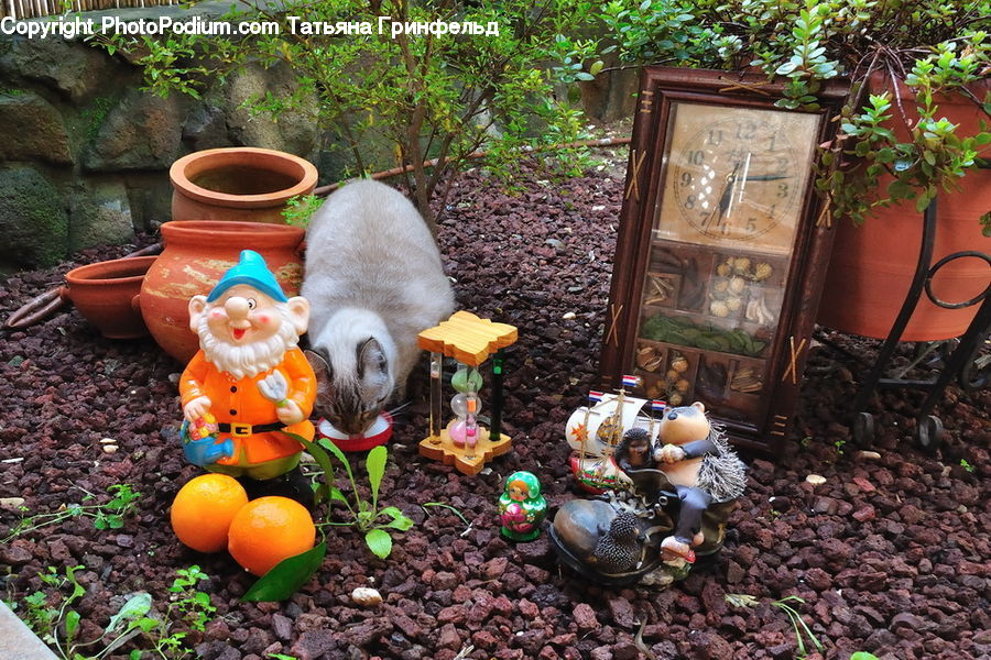 Plant, Potted Plant, Bowl, Pot, Pottery, Pumpkin, Squash
