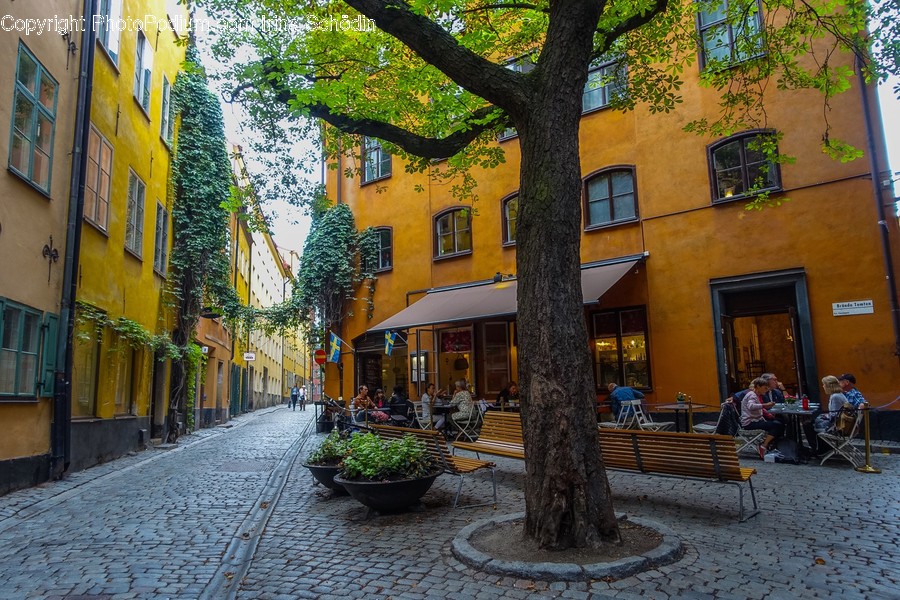 Walkway, Path, Sidewalk, Pavement, Person