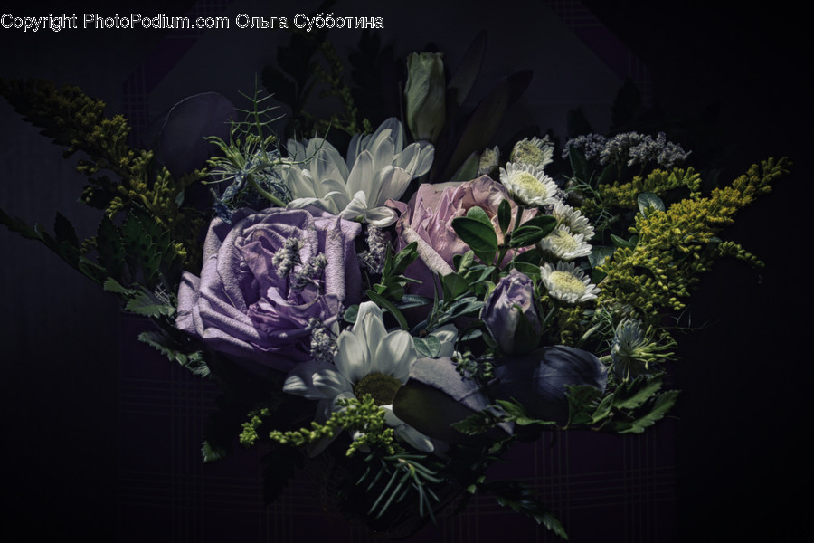 Plant, Flower, Blossom, Flower Arrangement, Flower Bouquet