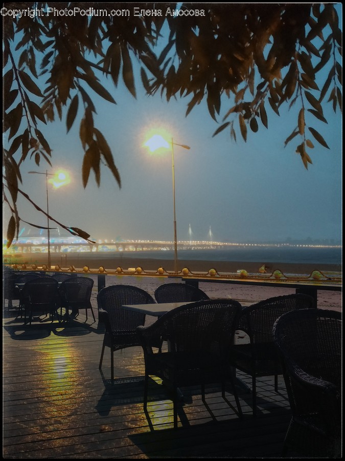 Flare, Light, Chair, Furniture, Nature