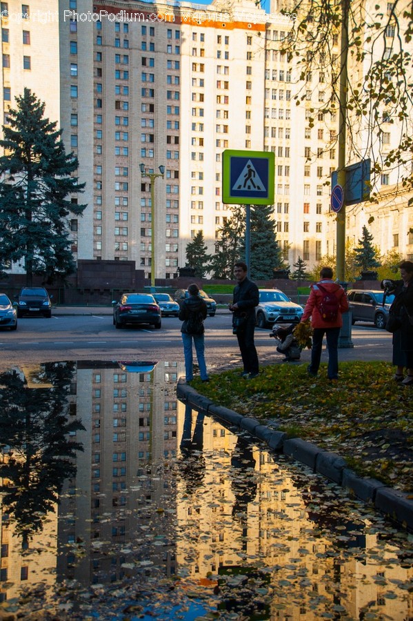 Person, Human, Puddle, Car, Vehicle
