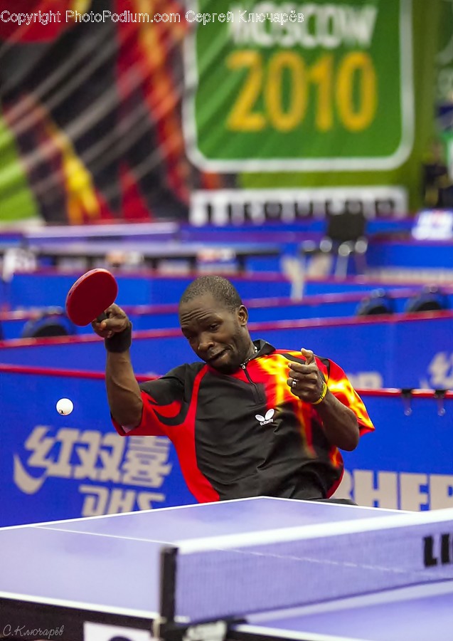 Human, Person, Ping Pong, Sports, Sport