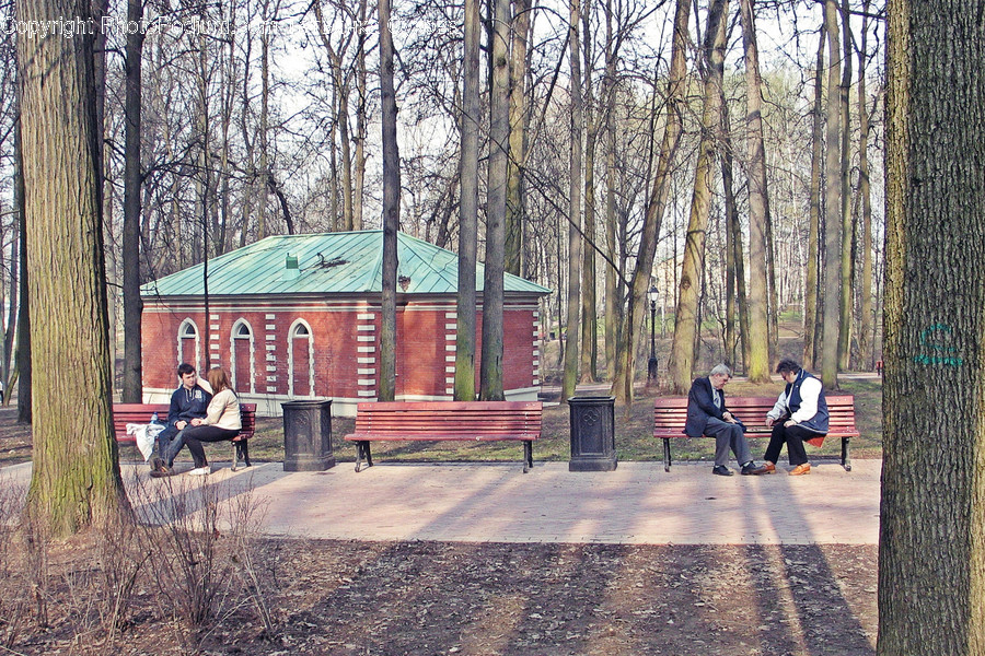 Furniture, Bench, Person, Human, Sitting