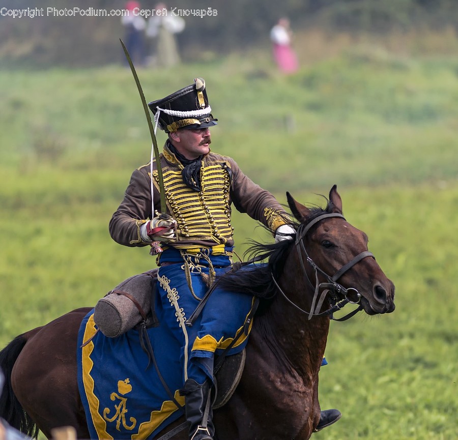 Equestrian, Human, Animal, Horse, Mammal