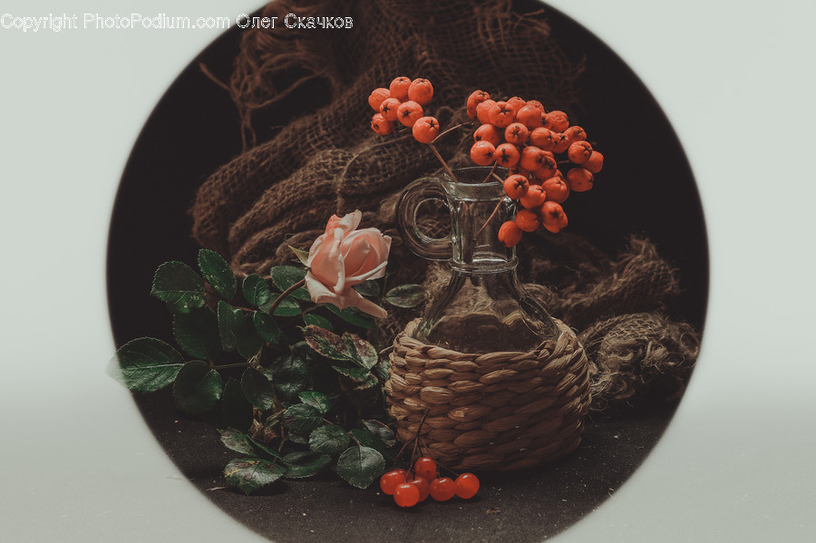 Plant, Food, Fruit, Dish, Meal