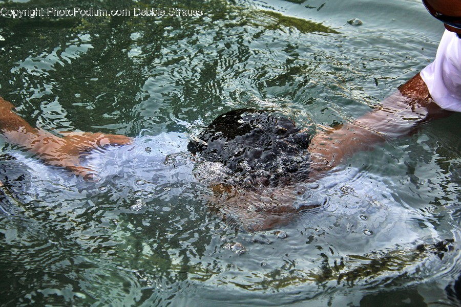 Water, Sports, Person, Human, Sport