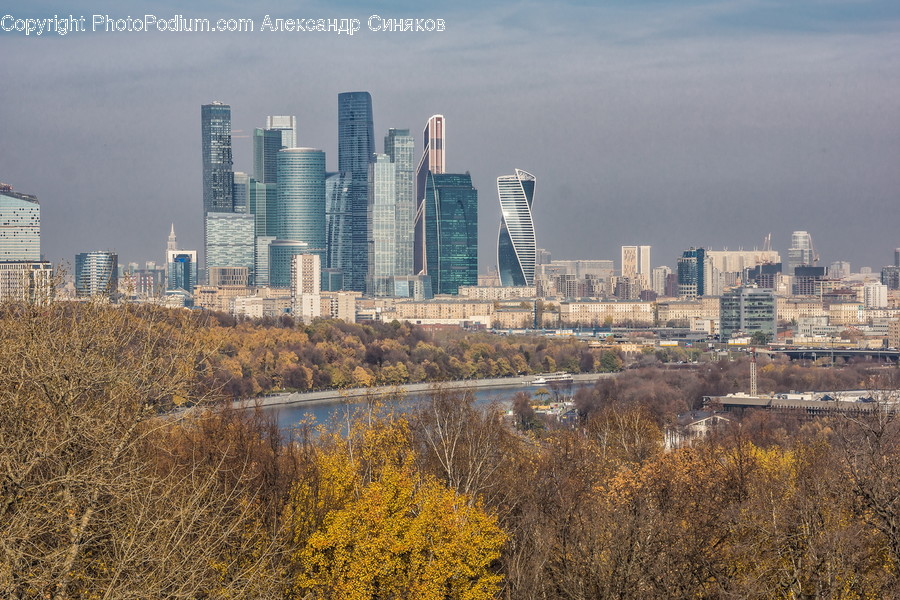 City, Town, Building, Urban, High Rise