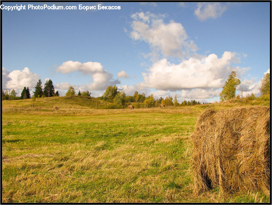 Field, Grass, Grassland, Land, Outdoors, Countryside, Hay