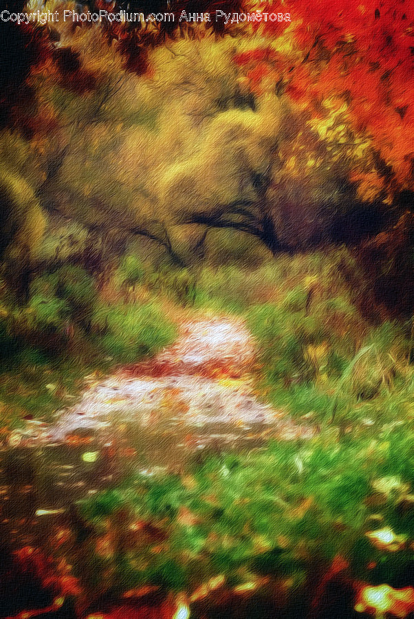 Ground, Plant, Vegetation, Nature, Land