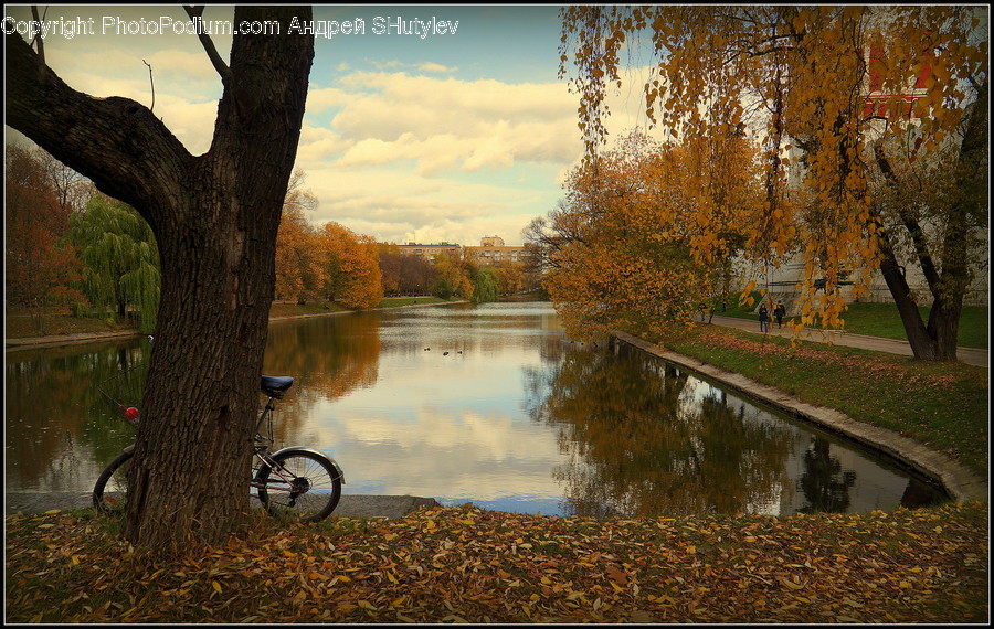 Bike, Bicycle, Vehicle, Transportation, Machine