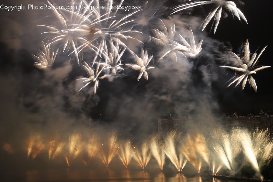 Nature, Outdoors, Fireworks, Night, Bird
